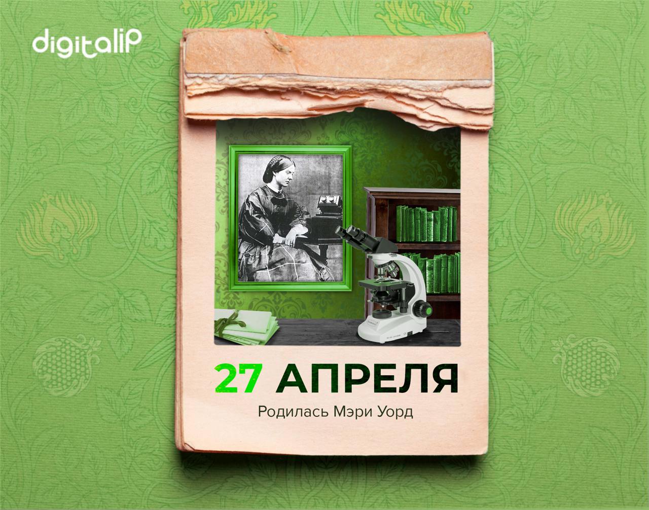 Родилась Мэри Уорд